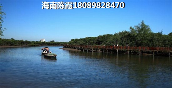 希望·棋子湾买房首付