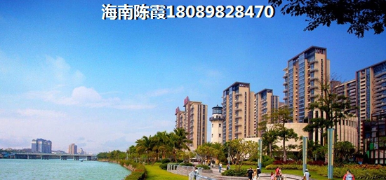 中南·林海间纸得买吗