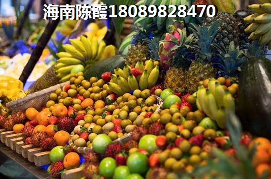 小猪佩奇去旅行的动画片
