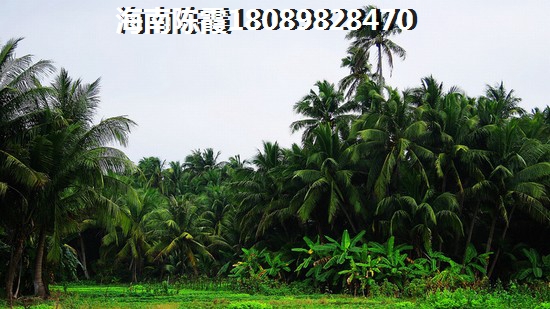 昌江棋子湾房价会跌吗？