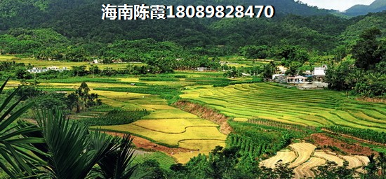 推荐公司店名取名小程序有哪些