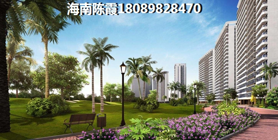 陵水潮湿是真的吗，钻石海岸环境优缺点分析