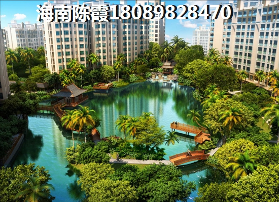 香菜根炒油渣可以吃吗图片
