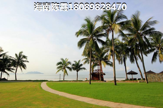 清澜跟金江哪个值得投资？海南2025前景及投资分析