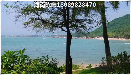 我真不是大明星呀免费阅读无弹窗